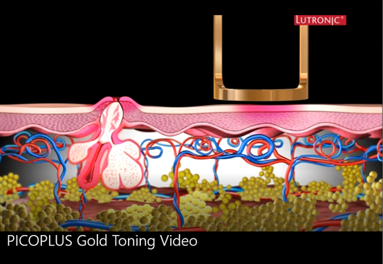 twL_catalog_services_25K24_1wGu8OUXz7